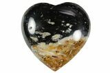 1.4" Polished Petrified Palm Root Heart - Indonesia - Photo 3